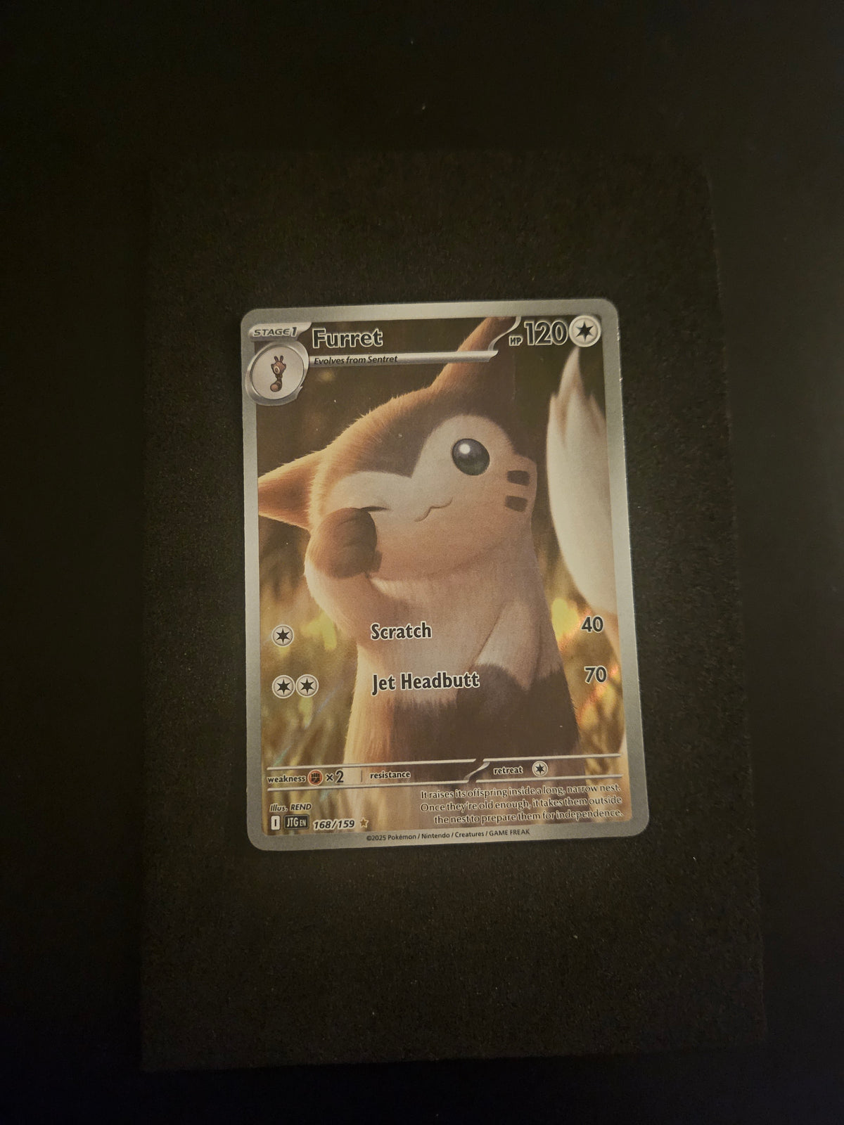Furret 168/159
