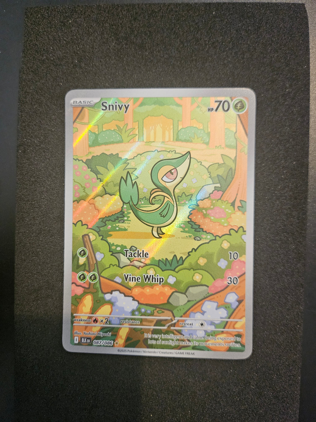 Snivy 087/086