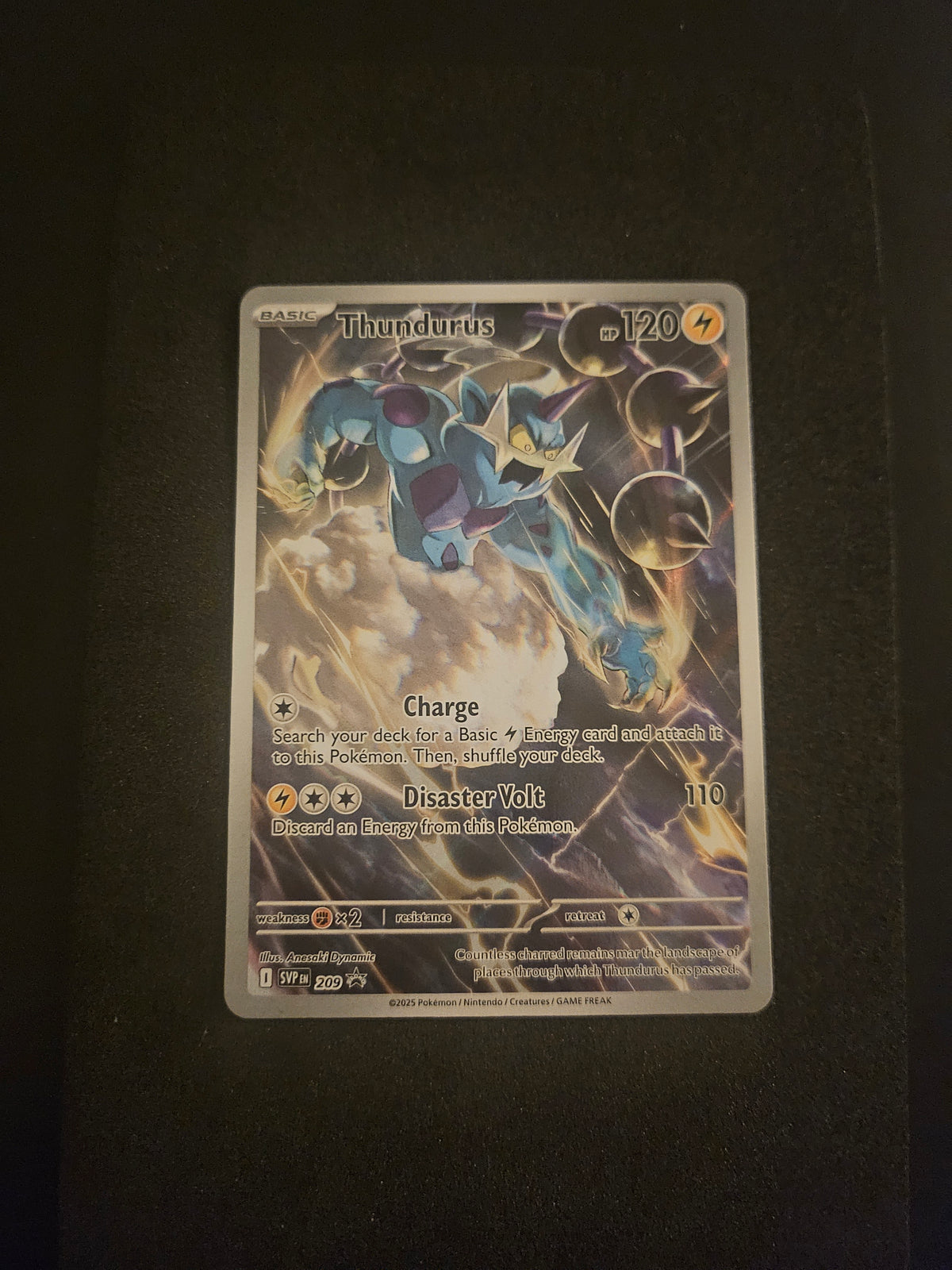 Thundurus 209