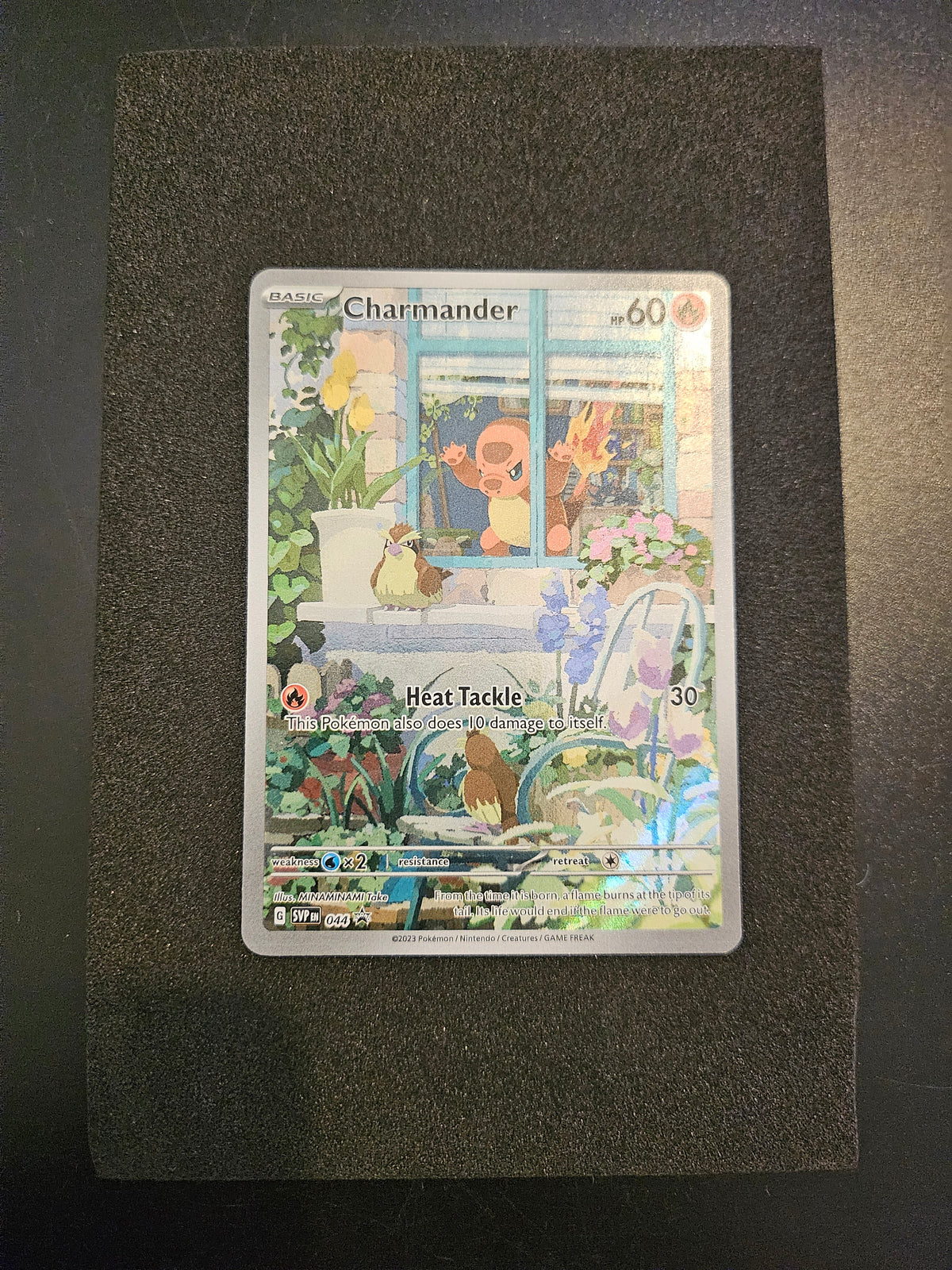 Charmander 044