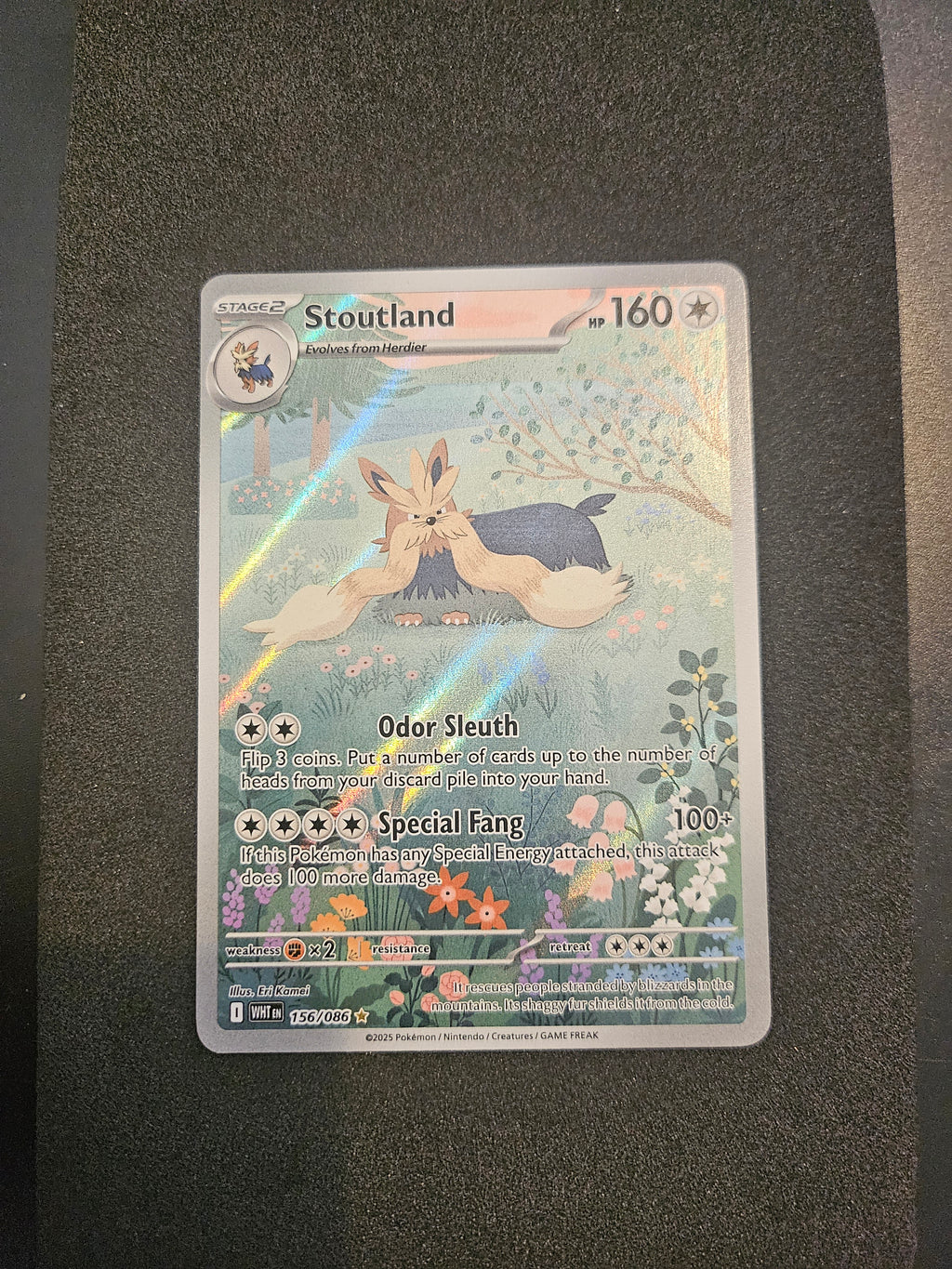 Stoutland 156/086